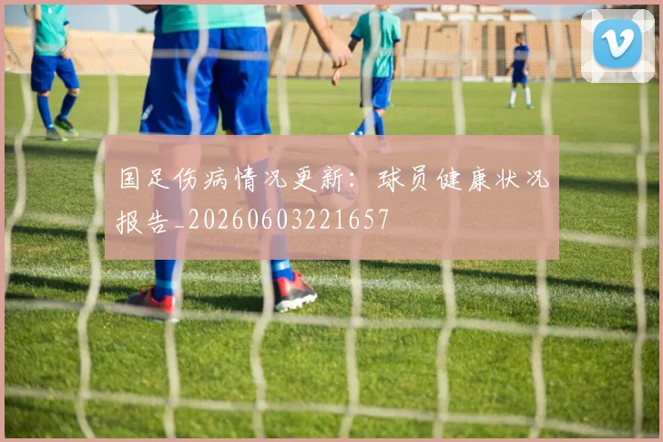 国足伤病情况更新：球员健康状况报告_20260603221657